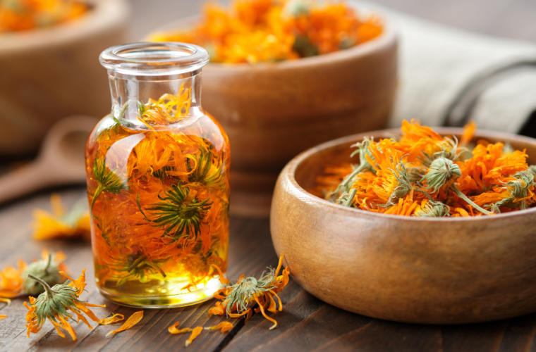 huile vegetale calendula mue cheval